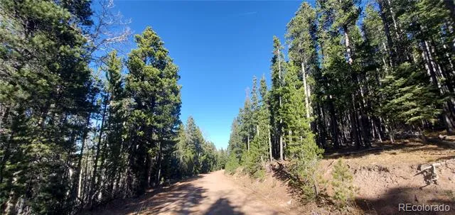 Lot 2682 & 2683 Purnell Lane Fort Garland, CO 81133
