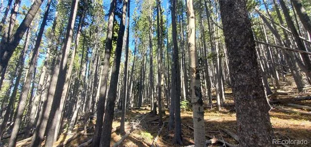Lot 2682 & 2683 Purnell Lane Fort Garland, CO 81133