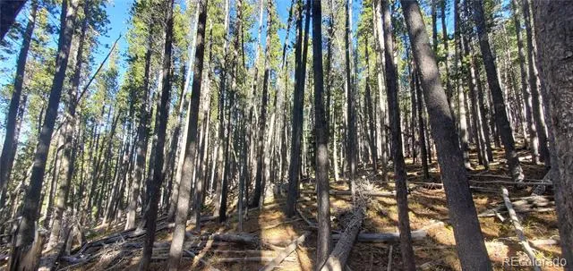 Lot 2682 & 2683 Purnell Lane Fort Garland, CO 81133