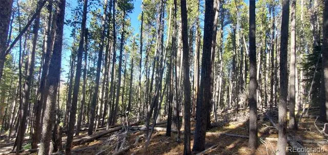 Lot 2682 & 2683 Purnell Lane Fort Garland, CO 81133