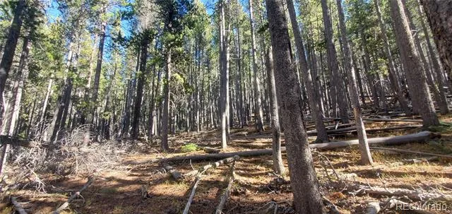 Lot 2682 & 2683 Purnell Lane Fort Garland, CO 81133