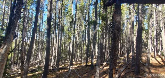 Lot 2682 & 2683 Purnell Lane Fort Garland, CO 81133