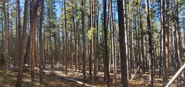 Lot 2682 & 2683 Purnell Lane Fort Garland, CO 81133