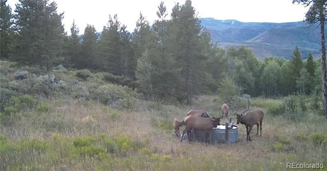 52326 US Highway 40 Hot Sulphur Springs, CO 80451