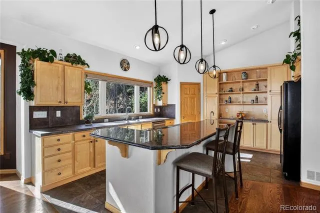 1255 Hy Vu Drive Evergreen, CO 80439