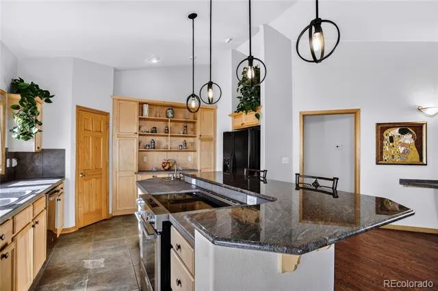 1255 Hy Vu Drive Evergreen, CO 80439