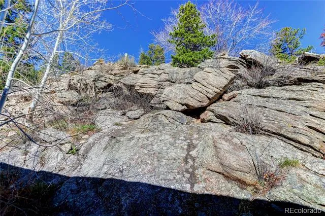 1255 Hy Vu Drive Evergreen, CO 80439