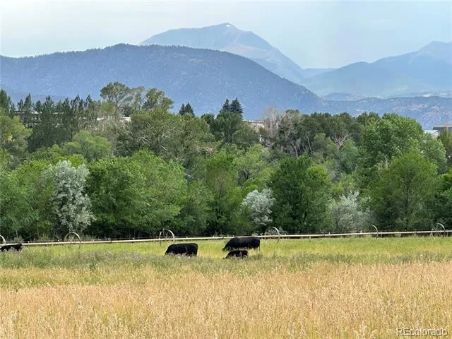 8720 County Road 175 Salida, CO 81201