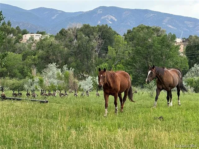 8720 County Road 175 Salida, CO 81201