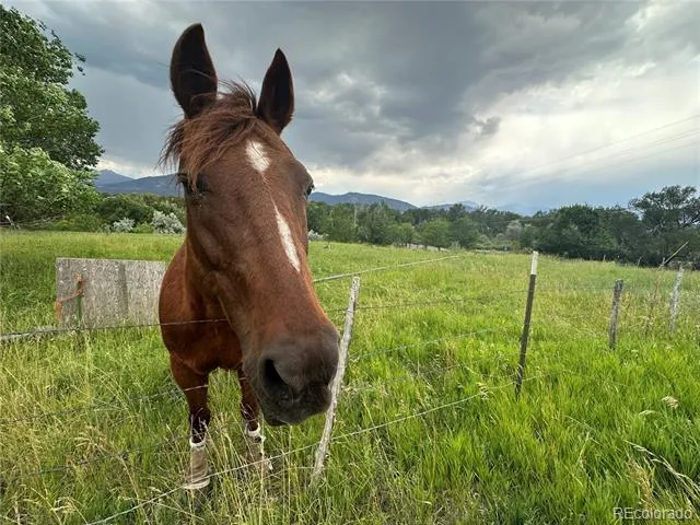 8720 County Road 175 Salida, CO 81201