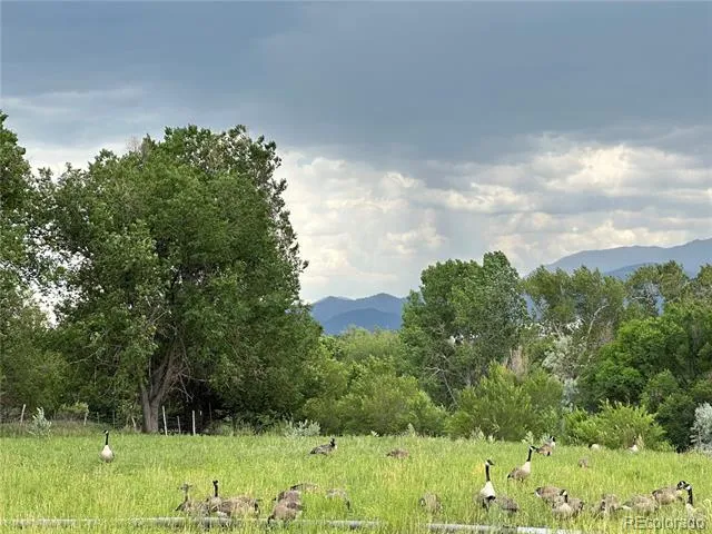 8720 County Road 175 Salida, CO 81201