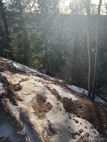 1600 Pikes Peak Drive Divide, CO 80814