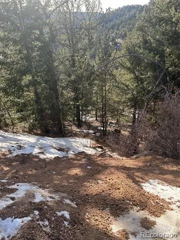 1600 Pikes Peak Drive Divide, CO 80814