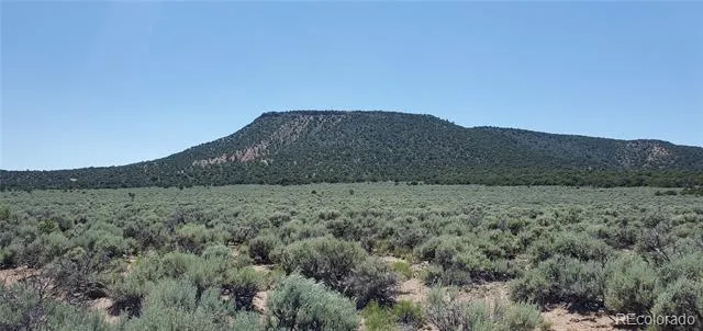 588 County Lane Fort Garland, CO 81133
