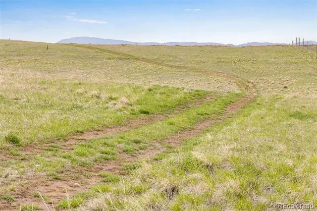 4753 Wild Horizon Drive Laporte, CO 80535