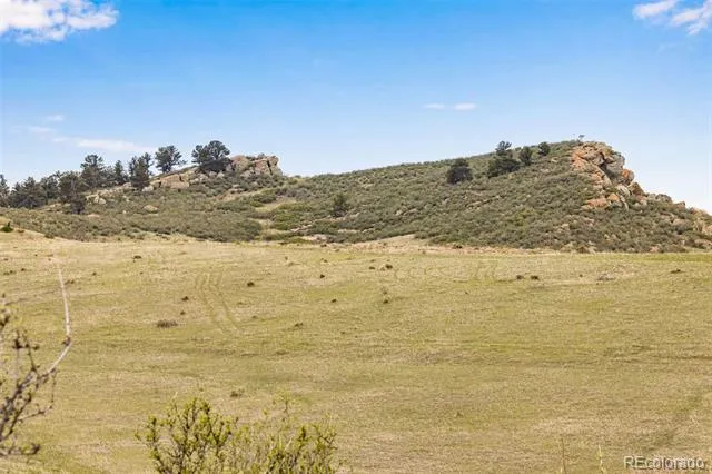 4753 Wild Horizon Drive Laporte, CO 80535