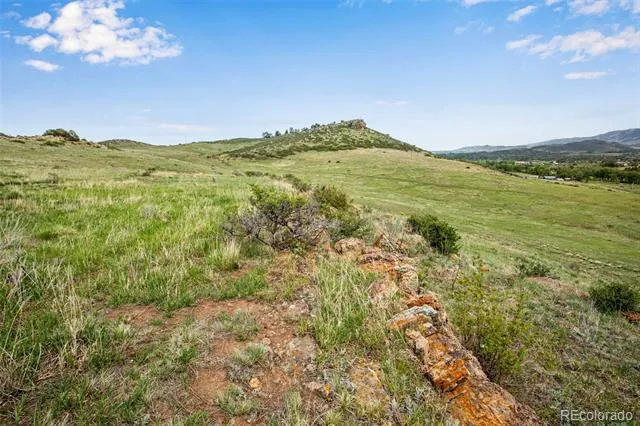 4753 Wild Horizon Drive Laporte, CO 80535
