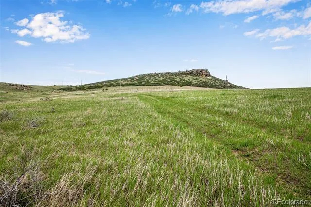 4753 Wild Horizon Drive Laporte, CO 80535