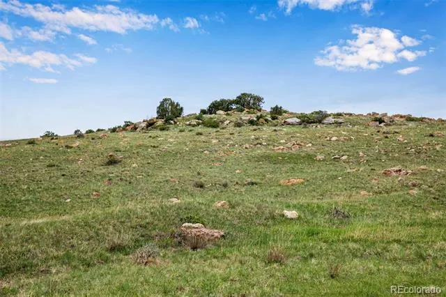 4753 Wild Horizon Drive Laporte, CO 80535