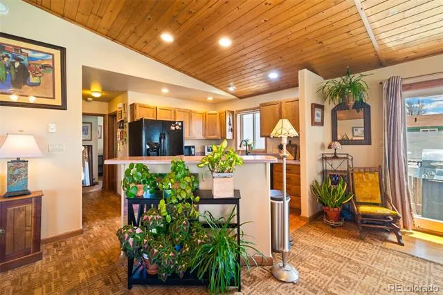 740 Castello Avenue Fairplay, CO 80440