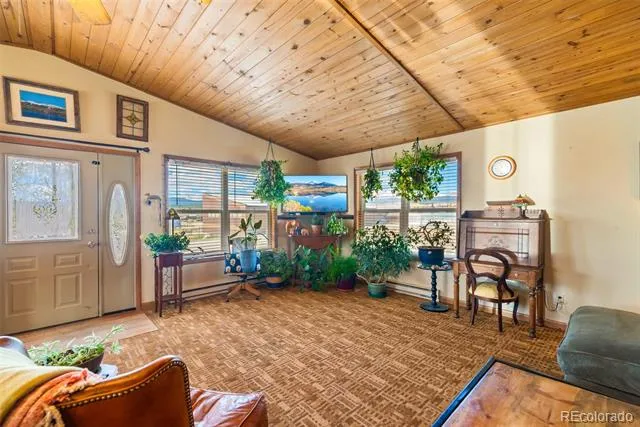 740 Castello Avenue Fairplay, CO 80440