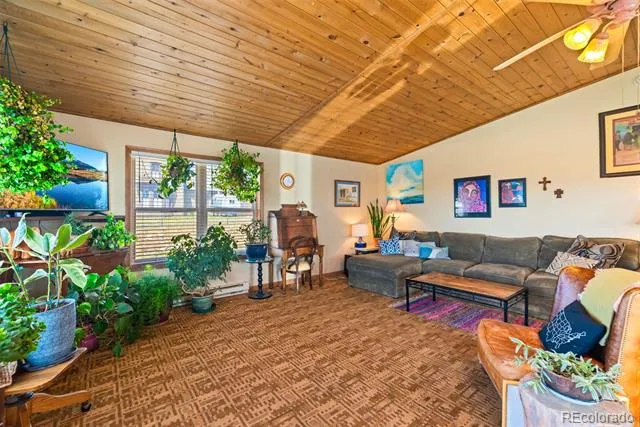 740 Castello Avenue Fairplay, CO 80440