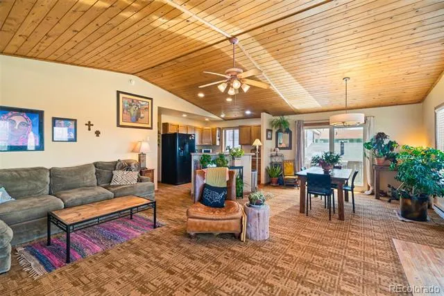 740 Castello Avenue Fairplay, CO 80440