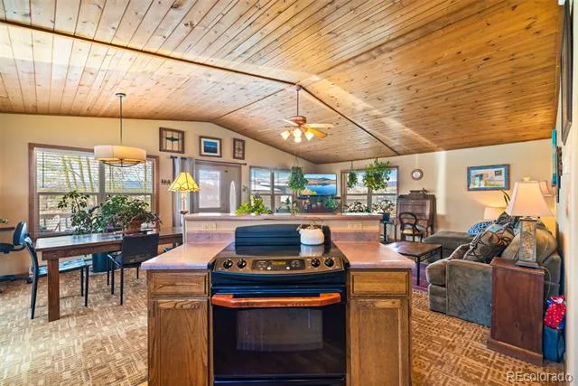 740 Castello Avenue Fairplay, CO 80440