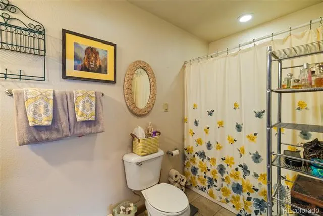 740 Castello Avenue Fairplay, CO 80440