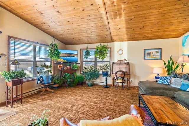 740 Castello Avenue Fairplay, CO 80440