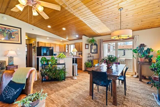 740 Castello Avenue Fairplay, CO 80440