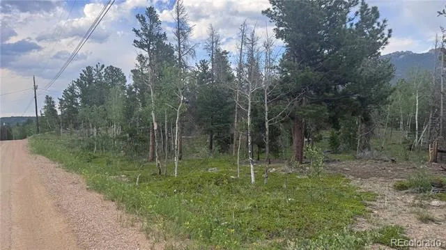 Lot 29 Lodge Pole Drive Black Hawk, CO 80422