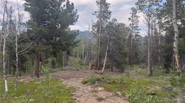 Lot 29 Lodge Pole Drive Black Hawk, CO 80422
