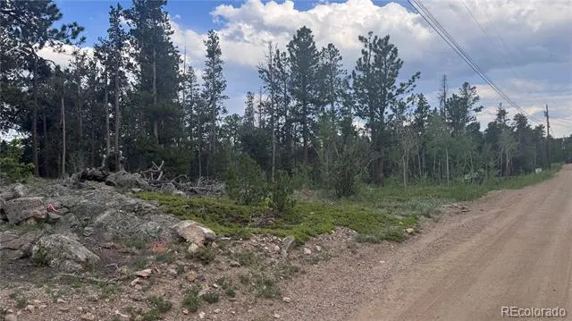 Lot 29 Lodge Pole Drive Black Hawk, CO 80422