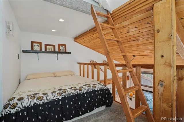 166 S Fuller Placer Road #6 Breckenridge, CO 80424