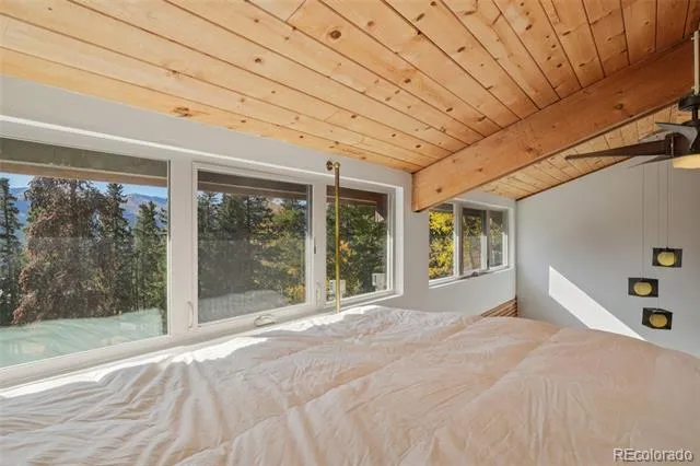 166 S Fuller Placer Road #6 Breckenridge, CO 80424