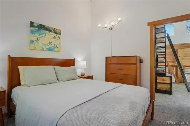 166 S Fuller Placer Road #6 Breckenridge, CO 80424