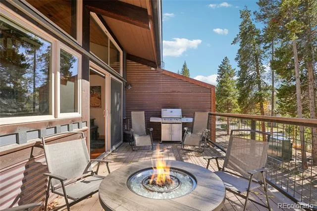 166 S Fuller Placer Road #6 Breckenridge, CO 80424
