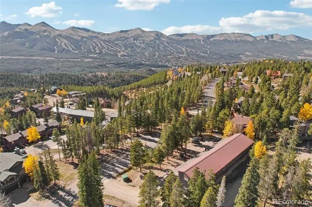 166 S Fuller Placer Road #6 Breckenridge, CO 80424
