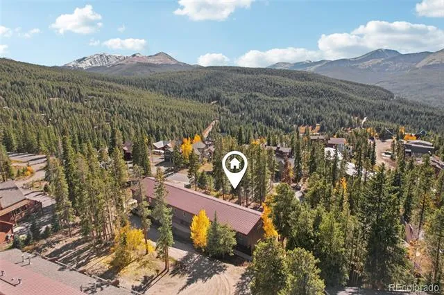 166 S Fuller Placer Road #6 Breckenridge, CO 80424