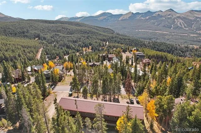 166 S Fuller Placer Road #6 Breckenridge, CO 80424