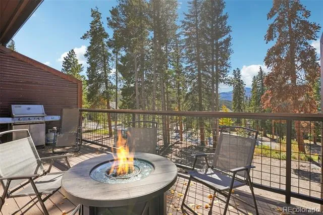 166 S Fuller Placer Road #6 Breckenridge, CO 80424