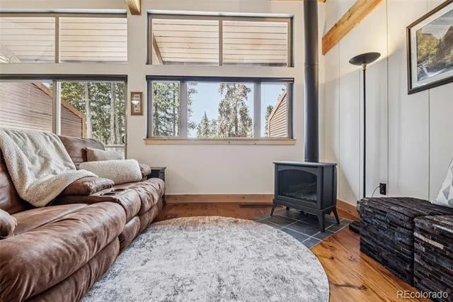 166 S Fuller Placer Road #6 Breckenridge, CO 80424