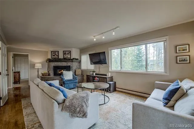 689 American Way Breckenridge, CO 80424
