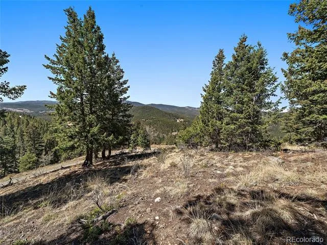 Lynx Lair Road Evergreen, CO 80439