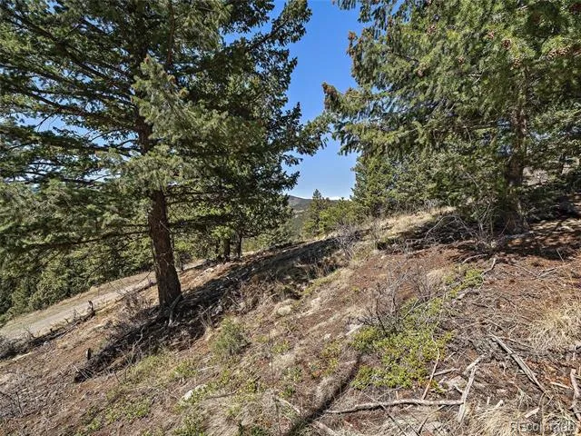 Lynx Lair Road Evergreen, CO 80439