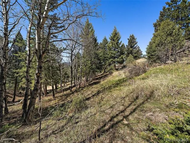 Lynx Lair Road Evergreen, CO 80439