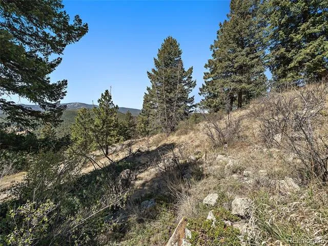Lynx Lair Road Evergreen, CO 80439