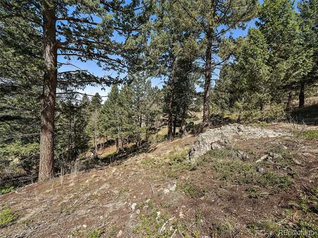 Lynx Lair Road Evergreen, CO 80439