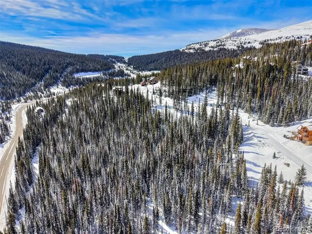 484 Carroll Lane Breckenridge, CO 80424